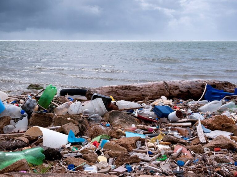1624278 2601 ocean plastic