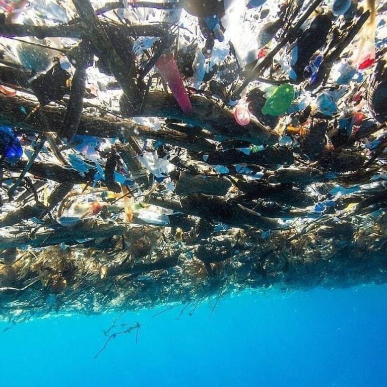 ocean debris