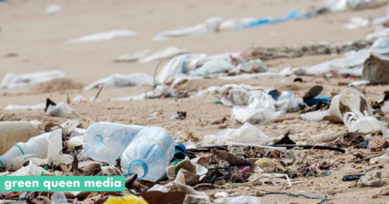 EPIC Academy Ocean Legacy Foundation Unveil Online Educational Platform About Ocean Plastics How You Can Help 1