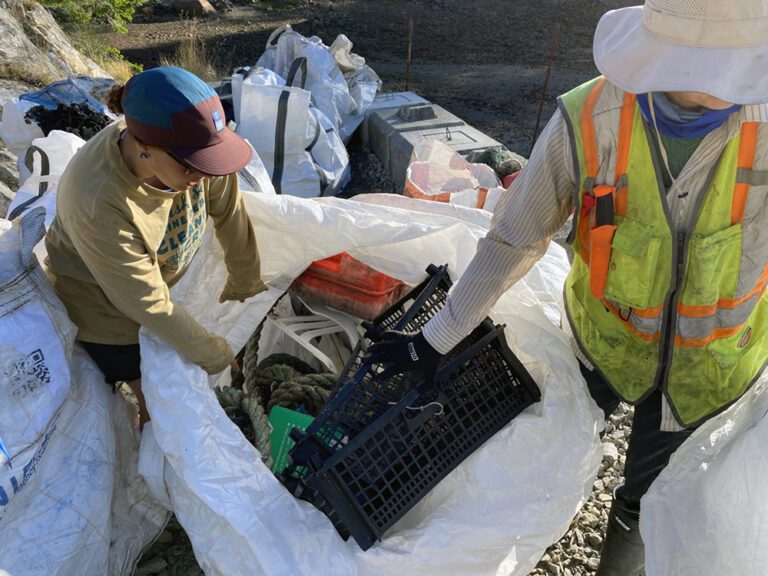 LetsTalkTrashCleanup