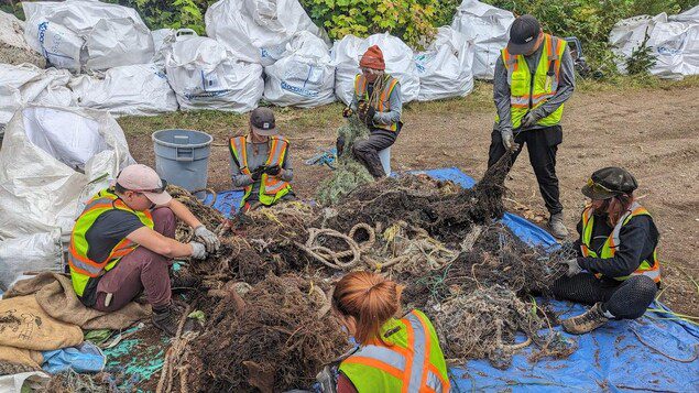 ocean legacy cleanup crew