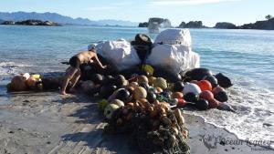 Cleaning Expeditions