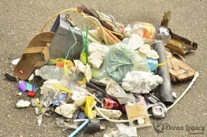 beach to sorting facility