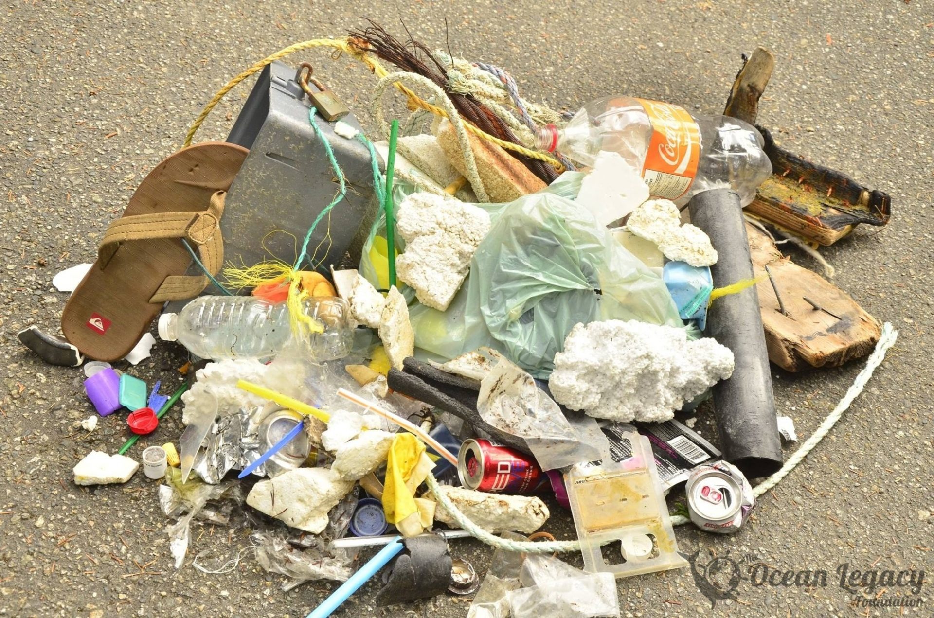 beach to sorting facility