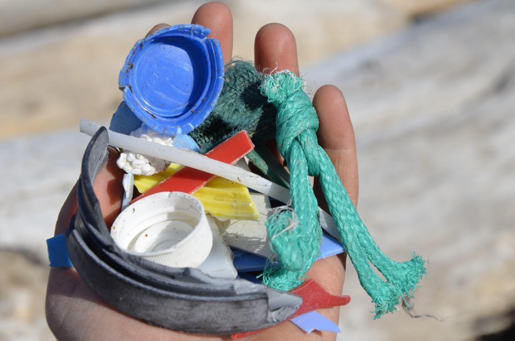 a88d352f2aee9f6e1827d3a098317a3f DSC6446