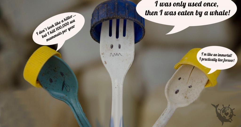 CONSICIOUS SPOONS