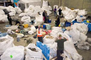 sorting-plastic-peninsula