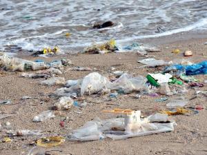 plastic-debris