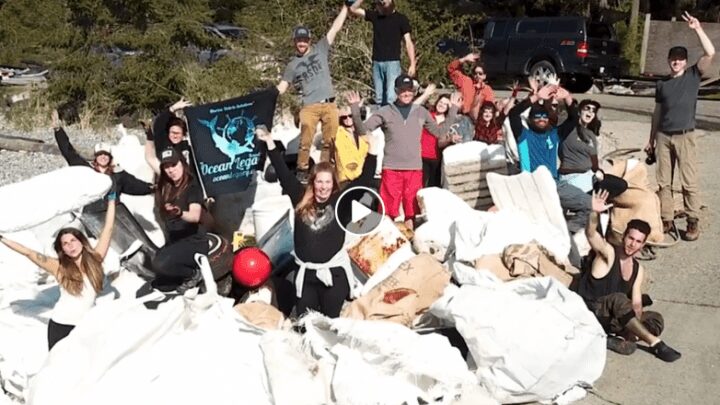 thornby island cleanup video
