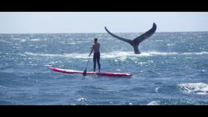 she_is_the_ocean-screenshot