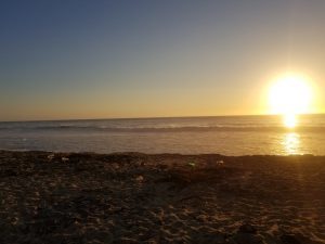 mayto beach cleanup 2019