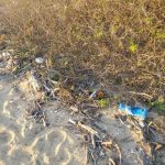 via del mar mayto beach clean 2019