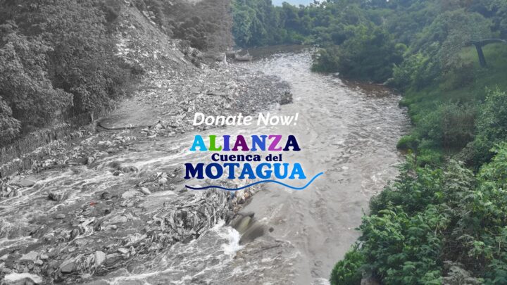 Motagua Campaign